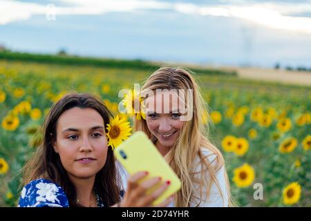 Un paio di giovani donne attraenti una bionda e il altre brunette che posano nei loro abiti firmati in un campo di girasoli utilizzando il loro smartphone Foto Stock