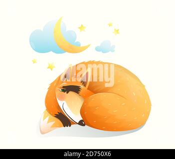 Baby animale volpe dormire di notte sotto le stelle e la luna. Cute clipart per i bambini neonati. Illustrazione Vettoriale