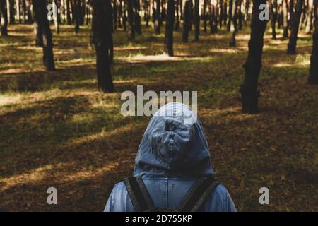 Turista con uno zaino e un cappuccio a pineta sempreverde. Viaggi, ecoturismo, ecologia, concetto di turismo locale, sfondo naturale, esploratore, felpa con cappuccio Foto Stock