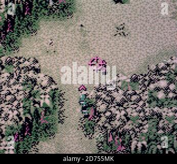 Cannon Fodder - Nintendo Game Boy Color Videogioco - Editoriale utilizzare solo Foto Stock