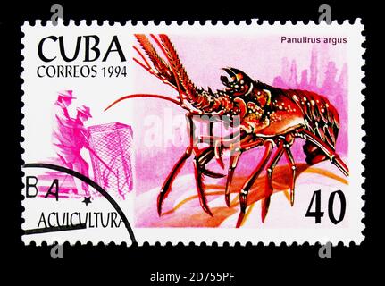 MOSCA, RUSSIA - 25 NOVEMBRE 2017: Un francobollo stampato a Cuba mostra Caribbean Spiny Lobster (Panulirus argus), Serie di acquacoltura, circa 1994 Foto Stock