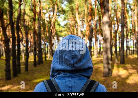 Turista con uno zaino e un cappuccio a pineta sempreverde. Viaggi, ecoturismo, ecologia, concetto di turismo locale, sfondo naturale, esploratore, felpa con cappuccio Foto Stock