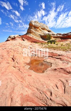 White Pocket Rock Formations nel Vermilion Cliffs National Monument in Arizona, USA Foto Stock