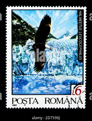 MOSCA, RUSSIA - 25 NOVEMBRE 2017: Un francobollo stampato in Romania mostra aquila calva (Haliaeetus leucofalus), Fauna della serie della regione settentrionale, circa Foto Stock