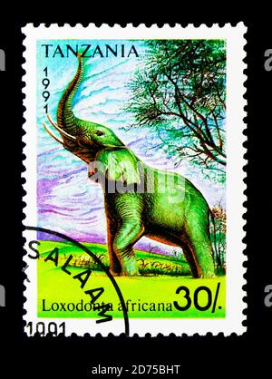 MOSCA, RUSSIA - 25 NOVEMBRE 2017: Un francobollo stampato in Tanzania mostra l'elefante africano (Loxodonta africana), serie, circa 1991 Foto Stock