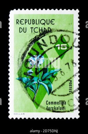 MOSCA, RUSSIA - 2 GENNAIO 2018: Un francobollo stampato in Ciad mostra Comelina forskalaei, Flora serie, circa 1975 Foto Stock