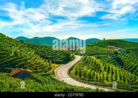 Vigneti e strada. Prosecco Hills, patrimonio dell'umanità dell'UNESCO. Valdobbiadene, Veneto, Italia Foto Stock