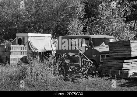Un classico van abbandonato Chevy e rimorchio tenda sono parcheggiati in campo agricolo circondato da casse di legno e pallet. Caduta fogliame copre lo sfondo. Th Foto Stock