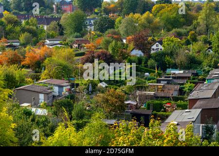 Giardino di assegnazione a Westpark a Bochum, ex stabilimento di acciaierie nel centro della città occidentale, NRW, Germania, Foto Stock