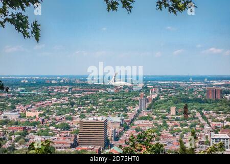 Vista estiva della città di Montreal dello Stadio dalla cima del Monte Royal, sullo sfondo del quartiere. Acquisizione di immagini tramite telefono cellulare Foto Stock