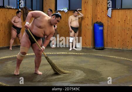 I lottatori sumo puliscono il pavimento di sabbia dell'anello di wrestling Durante la pausa di allenamento mattutino.Koto City.Tokyo.Japan Foto Stock