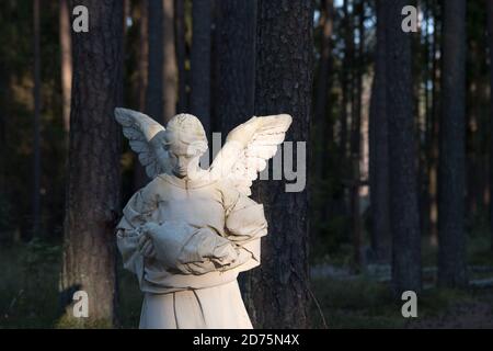 Bambini vittime del monumento di Piasnica e una delle 30 tombe di massa di almeno 12.000 a 14.000 intellettuali polacchi (attivisti nazionali, insegnanti, prete Foto Stock