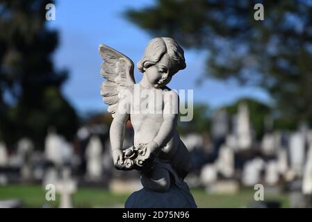 Una statua in cherubino di pietra con luce solare che guarda in basso in un cimitero, con file di tombe sullo sfondo Foto Stock