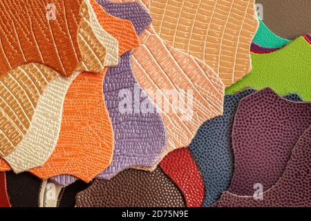 Varietà di campioni di pelle di diverse texture e colori, vista dall'alto, produzione di accessori moda Foto Stock