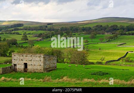 Granaio di pietra a Wensleydale, vicino a Bambridge, Yorkshire Dales, Regno Unito Foto Stock