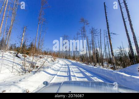 Serpente di montagna tra montagne innevate e alberi di conifere che crescono lungo i bordi della strada Foto Stock