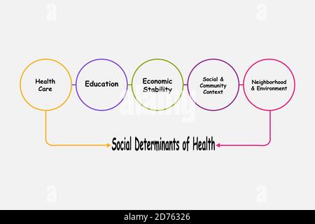 Diagramma dei determinanti sociali della salute con le parole chiave. EPS 10 Illustrazione Vettoriale