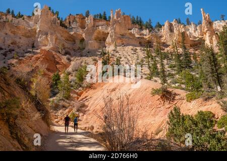 Bryce Canyon, Utah/USA - 13 ottobre 2020 Escursioni nel Bryce Canyon National Park. Peekaboo Loop Trail Foto Stock