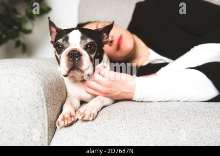 Donna con è Boston Terrier in soggiorno Foto Stock