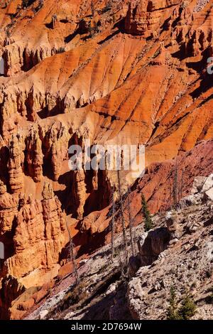 Dettaglio, pinnacoli e hoodoos di arenaria rossa Navajo nei canyon di Cedar Breaks National Monument, Utah Foto Stock