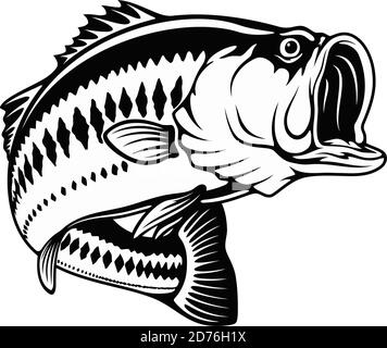 Largemouth basso in attacco - modello per pesca disegno isolato su bianco Illustrazione Vettoriale