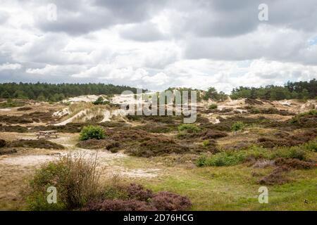 La zona delle dune chiamata 'choorlse duinen' nella zona delle dune della provincia dell'Olanda del Nord, Paesi Bassi Foto Stock