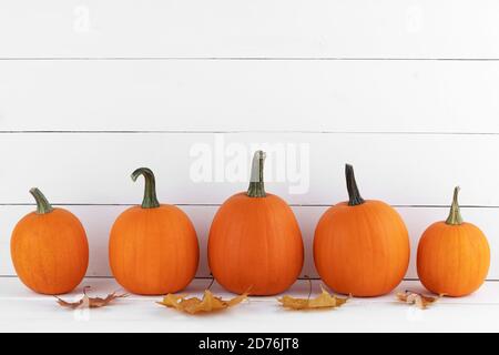 Zucche d'arancia e foglie d'autunno in fila su bianco sfondo in legno con spazio per la copia Foto Stock