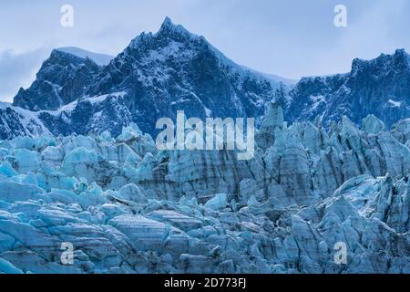 Ghiacciaio di Pia, catena montuosa di Darwin, canale di Beagle, Arcipelago di Tierra del Fuego, Magallanes e Regione dell'Antartide Cilena, Cile, Sud America, Amer Foto Stock