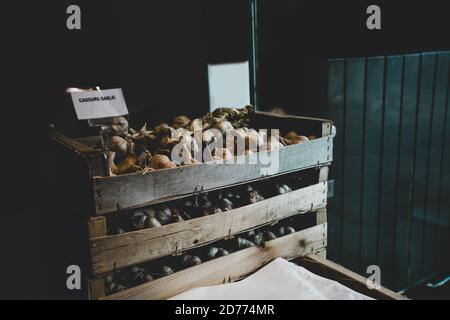 Aglio Basket negozio biologico Foto Stock