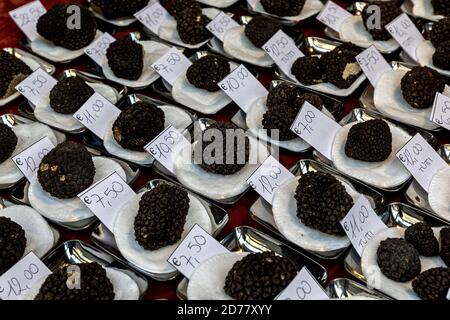 Vista ravvicinata dei famosi tartufi neri freschi in vendita con le etichette dei prezzi al mercato di Alba, Piemonte, Italia settentrionale. Foto Stock