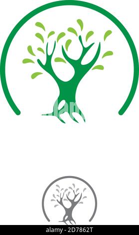 Illustrazione vettoriale su un disegno di un albero di mangrovie. Semplice mangrovie progettato. Illustrazione vettoriale EPS.8 EPS.10 Illustrazione Vettoriale