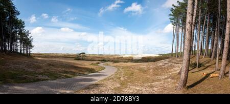 La zona delle dune chiamata 'choorlse duinen' nella zona delle dune della provincia dell'Olanda del Nord, Paesi Bassi Foto Stock