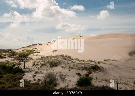 La zona delle dune chiamata 'choorlse duinen' nella zona delle dune della provincia dell'Olanda del Nord, Paesi Bassi Foto Stock