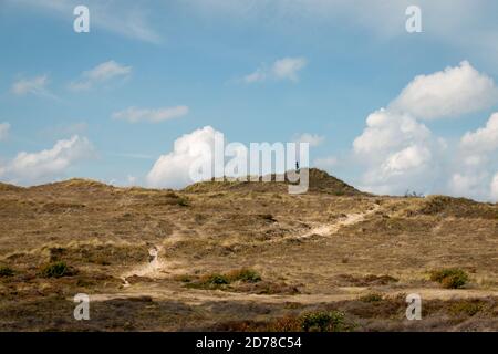 La zona delle dune chiamata 'choorlse duinen' nella zona delle dune della provincia dell'Olanda del Nord, Paesi Bassi Foto Stock