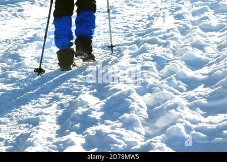 Primo piano di gambe escursionisti che vanno alle montagne invernali. Foto Stock