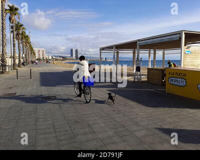 Una donna che cavalcava una bicicletta con i suoi due cani. Un cane corre al suo fianco legato con un guinzaglio. E l'altro viaggia nel cesto della bicicletta. Foto Stock