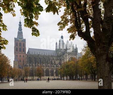 Cattedrale di San Giovanni con castagni in colori autunnali. 'S-Hertogenbosch, Paesi Bassi Foto Stock