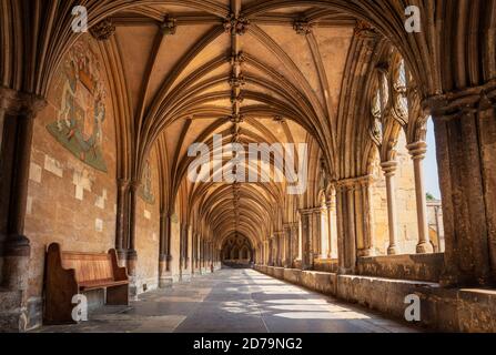 Norwich Cathedral Cloisters in the Holy and Undivided Trinity una cattedrale della Chiesa d'Inghilterra a Norwich Norfolk East Anglia England UK GB Europe Foto Stock