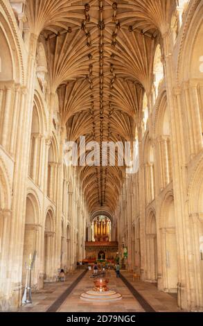 Cattedrale di Norwich navata nella Cattedrale di Norwich interno Norwich Norfolk East Anglia Inghilterra Regno Unito GB Europa Foto Stock