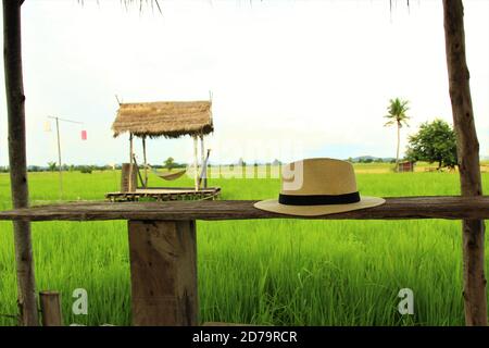 Campo di riso con capanna e cappello su panca di legno. Foto Foto Stock