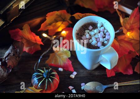 Primo piano, vista dall'alto del cioccolato caldo con mini marshmallows tra foglie e zucche d'autunno. Foto Stock