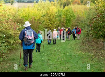 Gruppo escursionistico senior che cammina lungo una pista verde in erba Il 800 Wood fuori Cambridge Inghilterra Foto Stock