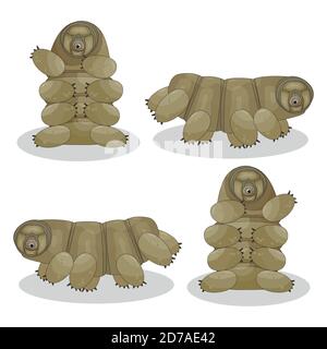 Marrone, giallo isolato felice quirki carino vettore cartoon tardigrado è seduto, in esecuzione, saltando su sfondo bianco Illustrazione Vettoriale