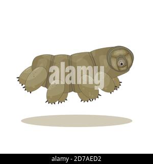 Marrone isolato felice quirki carino vettore cartoon tardigrado è in esecuzione e saltando su sfondo bianco Illustrazione Vettoriale