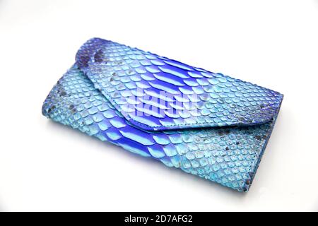 Portafoglio donna trendy in pelle di pitone naturale serpente blu su sfondo bianco isolato. Può essere utilizzato per lo sfondo e lo sfondo Foto Stock