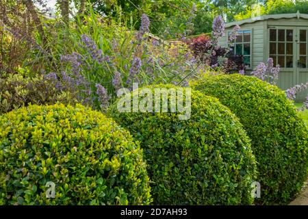 Giardino privato paesaggistico e soleggiato (design contemporaneo, fiori estivi, piante di confine, palloni da box, capanna d'estate ad angolo) - Yorkshire, Inghilterra, Regno Unito. Foto Stock