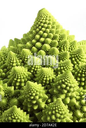 Cavolo broccolo ROMANESCO contro uno sfondo bianco Foto Stock