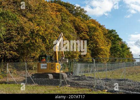 Aylesbury vale, Regno Unito. 20 Ottobre 2020. Lo Studio Legale Leigh Day ha inviato una seconda lettera a HS2 Limited chiedendo loro di interrompere il lavoro a Jones Hill Wood a seguito della scoperta di 'incredibilmente rari' barbastelle pipistrelli negli antichi boschi.HS2 hanno già causato disturbo nei boschi e stanno ora costruendo una strada di accesso nel bosco. Se HS2 continua a lavorare in questi boschi senza la necessaria licenza, potrebbe commettere un reato penale ai sensi del s43 conservazione degli habitat e delle specie regolamento 2017. Credito: Maureen McLean/Alamy Foto Stock