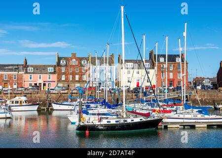 Piccole barche e yacht in Arbroath marina, Angus, Scozia, Regno Unito Foto Stock