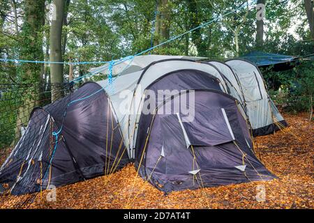 Aylesbury vale, Regno Unito. 20 Ottobre 2020. Gli attivisti ambientali si accampano nei boschi. Lo Studio Legale Leigh Day ha inviato una seconda lettera a HS2 Limited chiedendo loro di interrompere il lavoro a Jones Hill Wood a seguito della scoperta di 'incredibilmente rari' barbastelle pipistrelli negli antichi boschi. HS2 hanno già causato disturbi nel woods.HS2 hanno già causato disturbi. Se HS2 continua a lavorare in questi boschi senza la necessaria licenza, potrebbe commettere un reato penale ai sensi del s43 conservazione degli habitat e delle specie regolamento 2017. Credito: Maureen McLean/Alamy Foto Stock